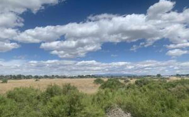 Pictures of Land property located at 0 Harrigan Rd, Fallon, NV 89406 for sales - image #1