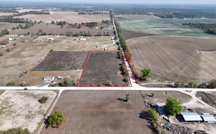 Pictures of Land property located at NW 50th St, Bell, FL 32619 for sales - image #1