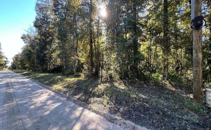 Pictures of Land property located at Lot 11 NE 327th Ave, Old Town, FL 32680 for sales - image #1