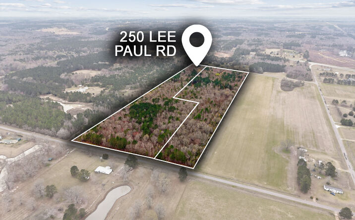 Pictures of Land property located at 250 Lee Paul Rd, Hawkinsville, GA 31036 for sales - image #1