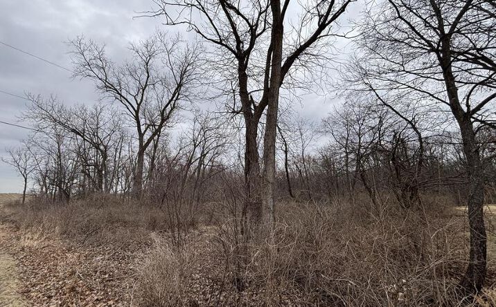 Pictures of Land property located at 11905 McCook St, Cedar Lake, IN 46303 for sales - image #1