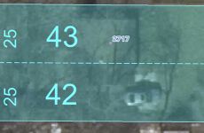 31275099