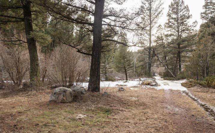 Pictures of Land property located at TBD Elkhorn Road, Boulder, MT 59632 for sales - image #1