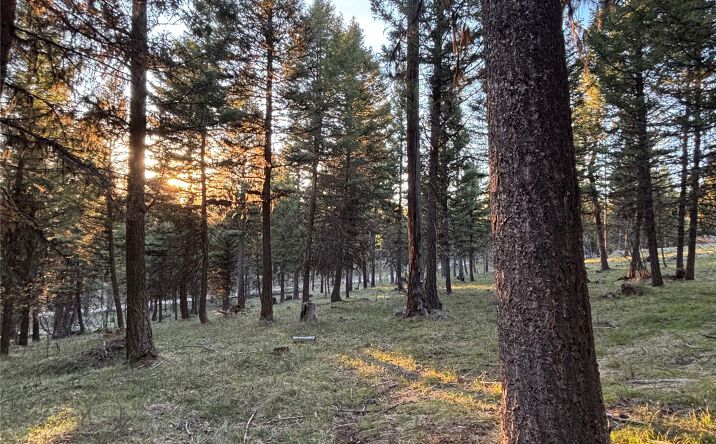 Pictures of Land property located at 139 Montana View Drive, Seeley Lake, MT 59868 for sales - image #1