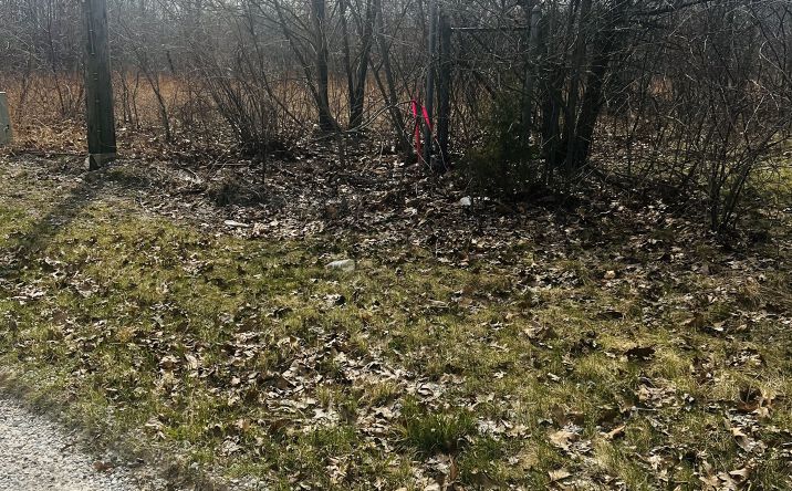 Pictures of Land property located at 2240 S 15000 Road E, Pembroke Twp, IL 60958 for sales - image #1
