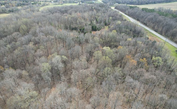 Pictures of Land, Special Purpose property located at IL Highway 145 Road, Metropolis, IL 62960 for sales - image #1