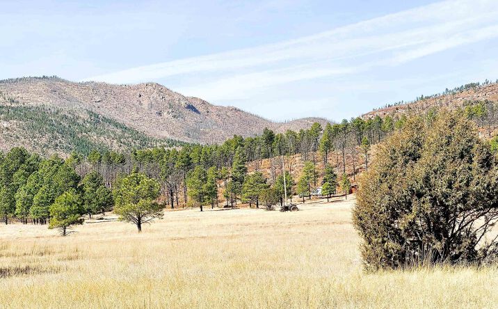 Pictures of Land property located at 158 W Roxie Road, Las Vegas, NM 87701 for sales - image #1