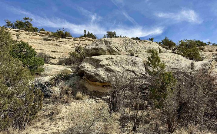 Pictures of Land property located at TBD Highway 117 Highway, Grants, NM 87020 for sales - image #1