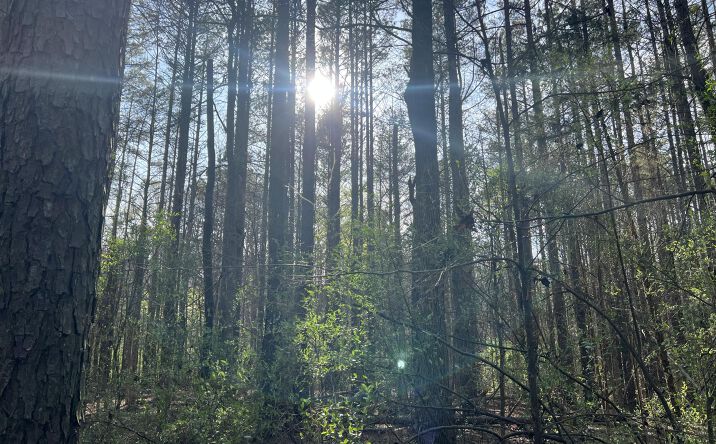 Pictures of Land property located at 116 Zara Spook Dr Lot 139, Cedar Grove, TN 38321 for sales - image #1