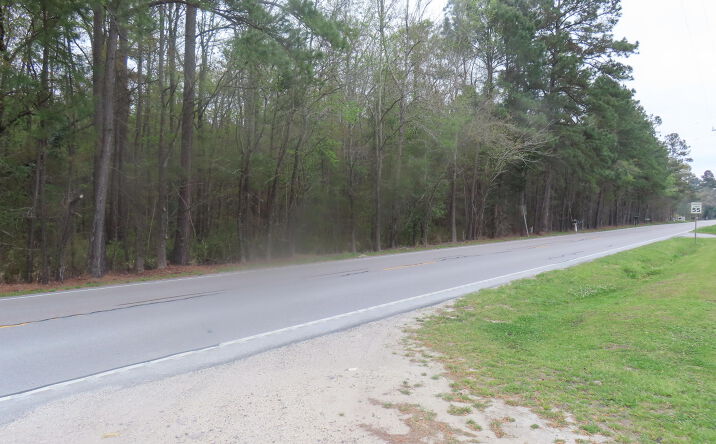 Pictures of Land, Retail, Office, Hospitality property located at County Line Road, Cross, SC 29436 for sales - image #1