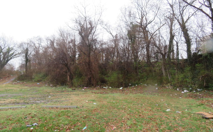 Pictures of Land property located at Atlantic St SE, Washington, DC 20032 for sales - image #1