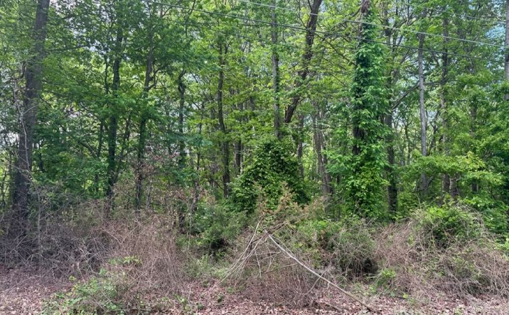 Pictures of Land property located at Parcel on Lenapah Rd, Chestertown, MD 21620, Chestertown, MD 21620 for sales - image #1
