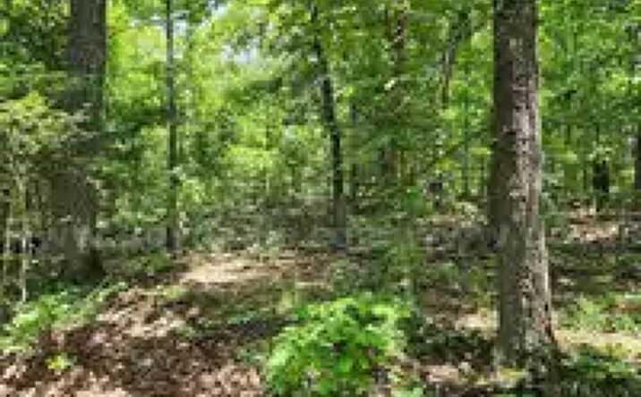 Pictures of Land property located at Black Cloud Dr, Cherokee Village, AR 72529, Osceola St, Cherokee Village, AR 72529, W 6th Ave, Pine Bluff, AR 71602 for sales - image #1