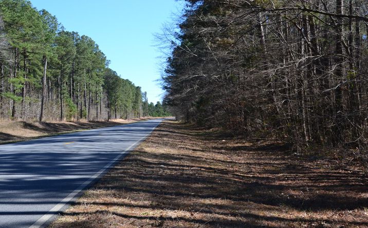 Pictures of Land property located at 0 Mark Wood Rd, Dexter, GA 31019 for sales - image #1