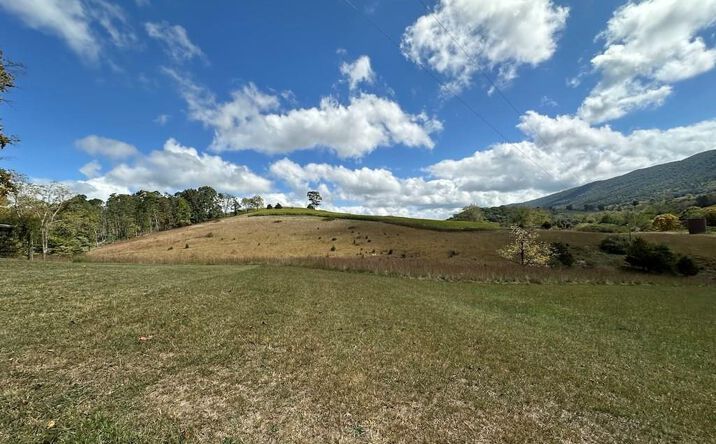 Pictures of Land, Multifamily property located at 621 Point Pleasant Rd, Bland, VA 24315 for sales - image #1