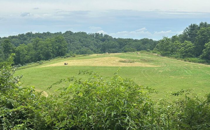 Pictures of Land, Multifamily property located at 29.31 ac Ridge Top Drive, Rural Retreat, VA 24368 for sales - image #1