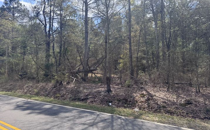 Pictures of Land property located at Gray Mare Hollow Rd, Aiken, SC 29803 for sales - image #1