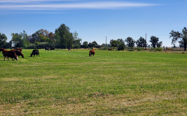 Pictures of Land property located at 68499 Kunze Ln, Boardman, OR 97818 for sales - image #1