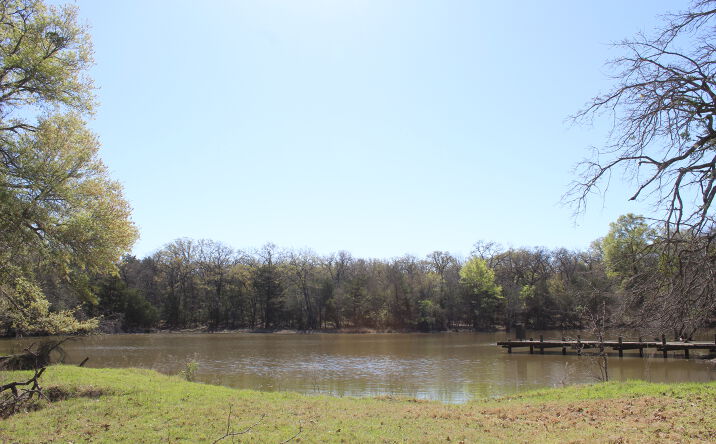Pictures of Land property located at 9667 FM1565, Terrell, TX 75160 for sales - image #1
