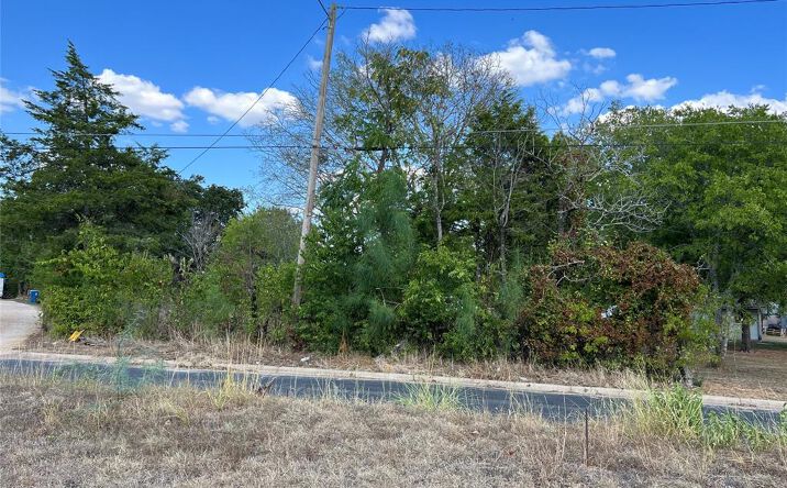 Pictures of Land property located at 529 Madison St, Elgin, TX 78621 for sales - image #1