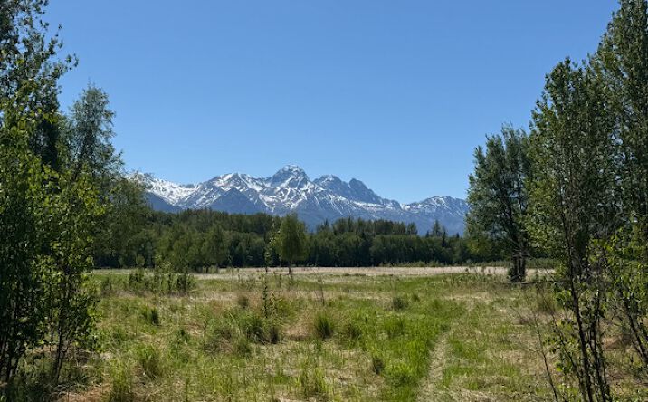 Pictures of Land property located at 15270 E Peaceful Ln, Palmer, AK 99645 for sales - image #1