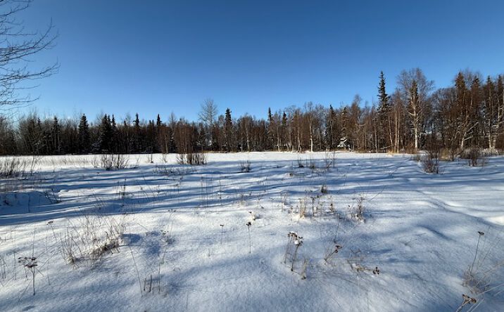 Pictures of Land property located at 15270 E Peaceful Ln, Palmer, AK 99645 for sales - image #1