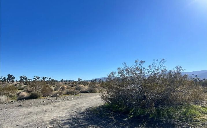 Pictures of Land property located at 2525 Goss, Pinon Hills, CA 92372 for sales - image #1