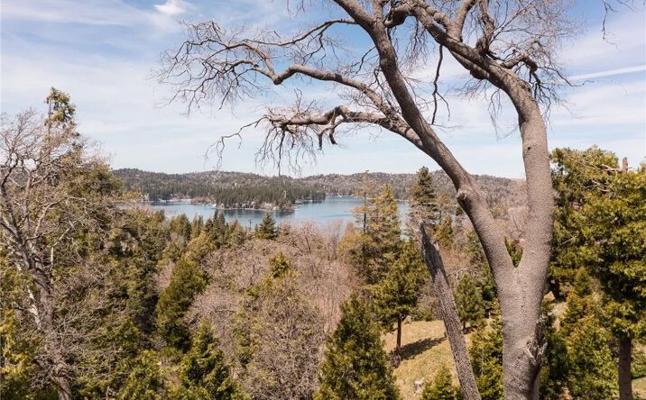 Pictures of Land property located at 226 Hidden Forest, Lake Arrowhead, CA 92352 for sales - image #1
