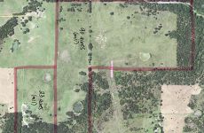 31335346