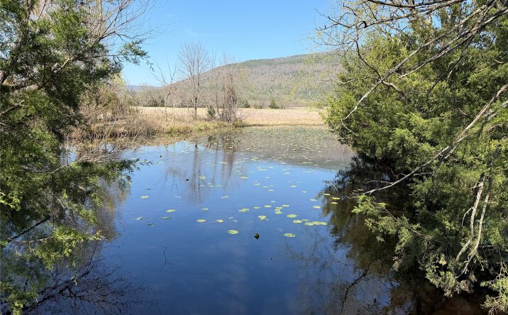 Pictures of Land property located at 12134 SE 1065, Talihina, OK 74571 for sales - image #1