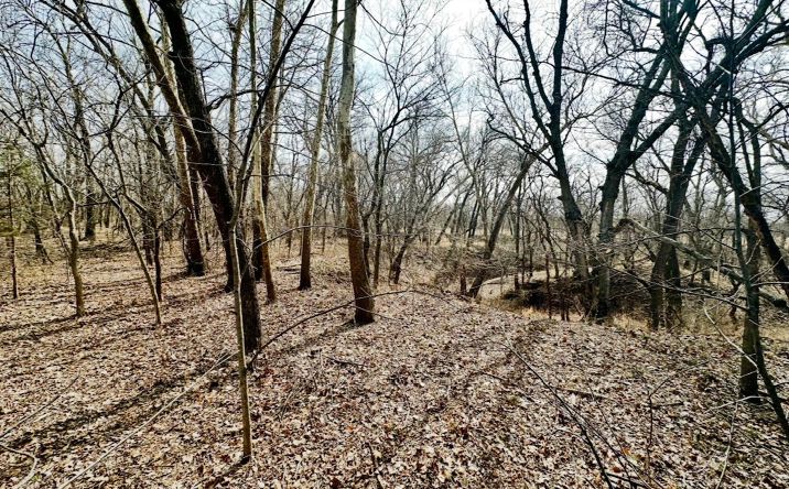 Pictures of Land property located at 44532 3550 Road, Pawnee, OK 74058 for sales - image #1
