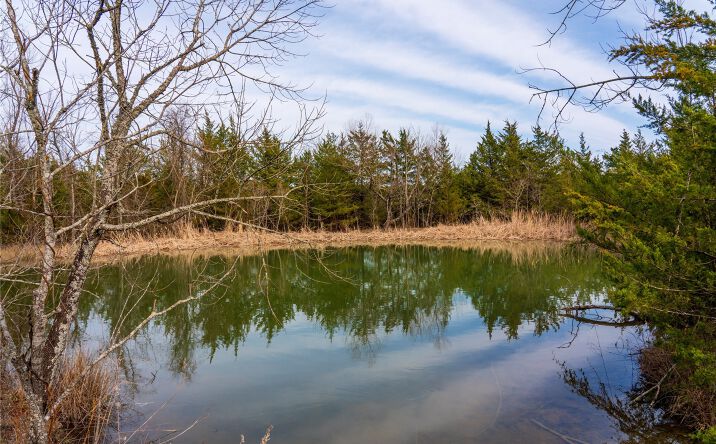 Pictures of Land property located at State Highway 93 Highway, Hugo, OK 74743 for sales - image #1