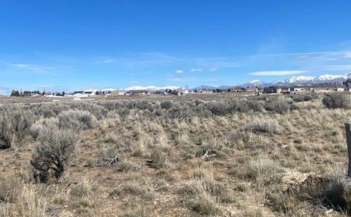 Pictures of Land property located at 456 Shadypoint Drive, Spring Creek, NV 89815 for sales - image #1