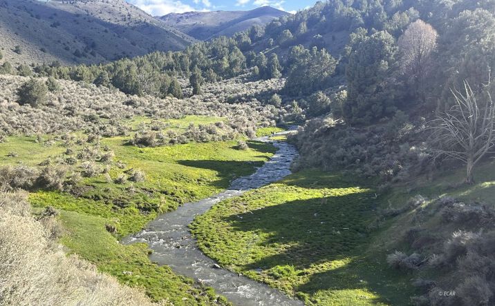 Pictures of Land property located at Mill Creek Road, Battle Mountain, NV 89820 for sales - image #1