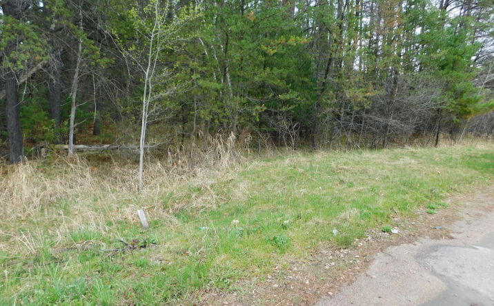 Pictures of Land property located at 8.94 Acres on 4th St N, Tomahawk, WI 54487 for sales - image #1