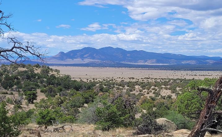 Pictures of Land property located at XX Lookout Loop, Datil, NM 87821-0000 for sales - image #1