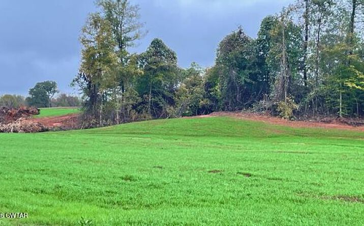 Pictures of Land property located at Medon Malesus Road, Medon, TN 38356 for sales - image #1