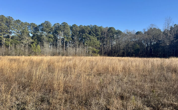 Pictures of Land, Multifamily property located at 451 Pringlewood Road, Eastover, SC 29044 for sales - image #1