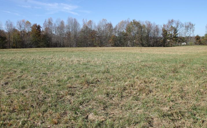 Pictures of Land property located at 221 Whitson Rd, Bethpage, TN 37022 for sales - image #1