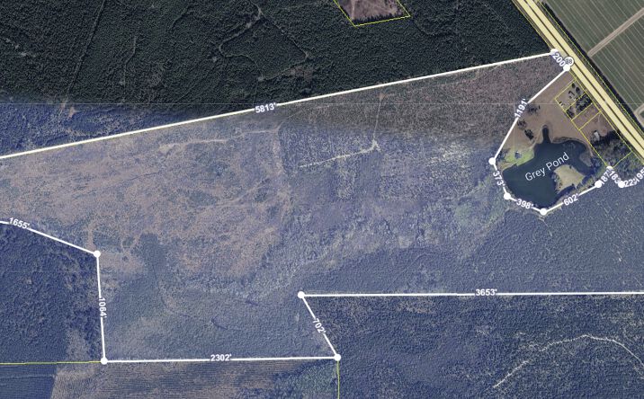 Pictures of Land property located at 5627 SC-38, Blenheim, SC 29516 for sales - image #1