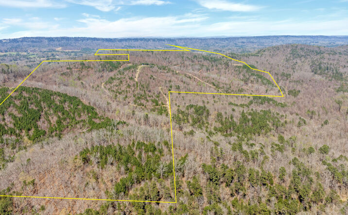 Pictures of Land property located at 160 Rock Bridge Rd, Gallant, AL 35972 for sales - image #1