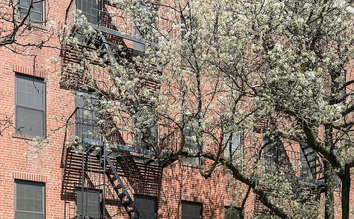 Pictures of Multifamily property located at 235 E 10th St, New York, NY 10003 for sales - image #1