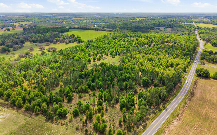 Pictures of Land property located at 1114 Spring Lake Hwy, Brooksville, FL 34602 for sales - image #1