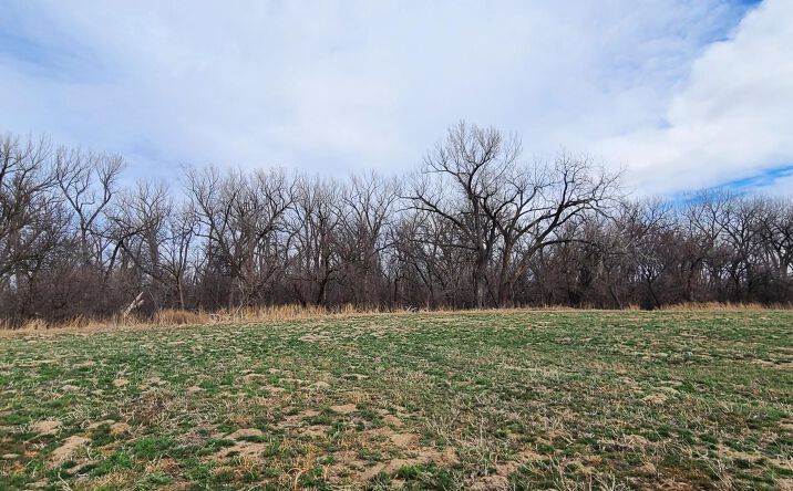 Pictures of Land property located at Harlan County Republican River Pivot, Oxford, NE 68967 for sales - image #1
