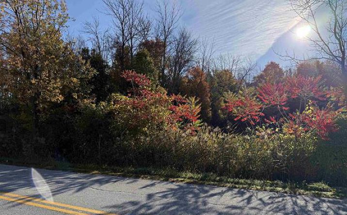 Pictures of Land property located at 512 Middle Road, Swanton, VT 05488 for sales - image #1