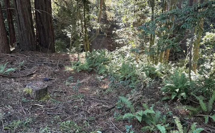 Pictures of Land property located at 17500 Redwood Springs, Fort Bragg, CA 95437 for sales - image #1