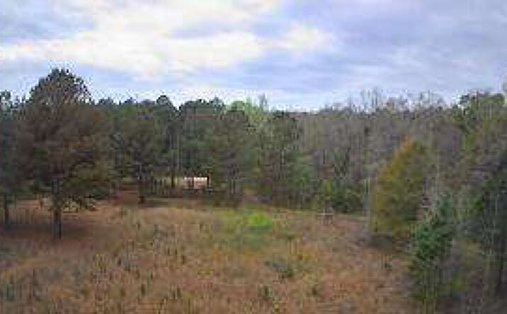 Pictures of Land property located at Tbd Salcro Lane Interior Parcel Highway, Smoaks, SC 29481 for sales - image #1
