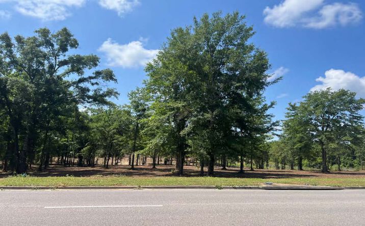 Pictures of Land property located at 9723 Airport Blvd, Mobile, AL 36695 for sales - image #1