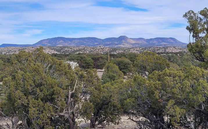 Pictures of Land property located at 47 Cougar Run, Datil, NM 87821-0000 for sales - image #1
