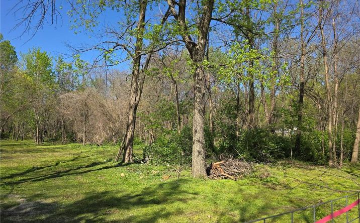 Pictures of Land, Special Purpose property located at 1020 W Henry Street, Sedalia, MO 65301 for sales - image #1